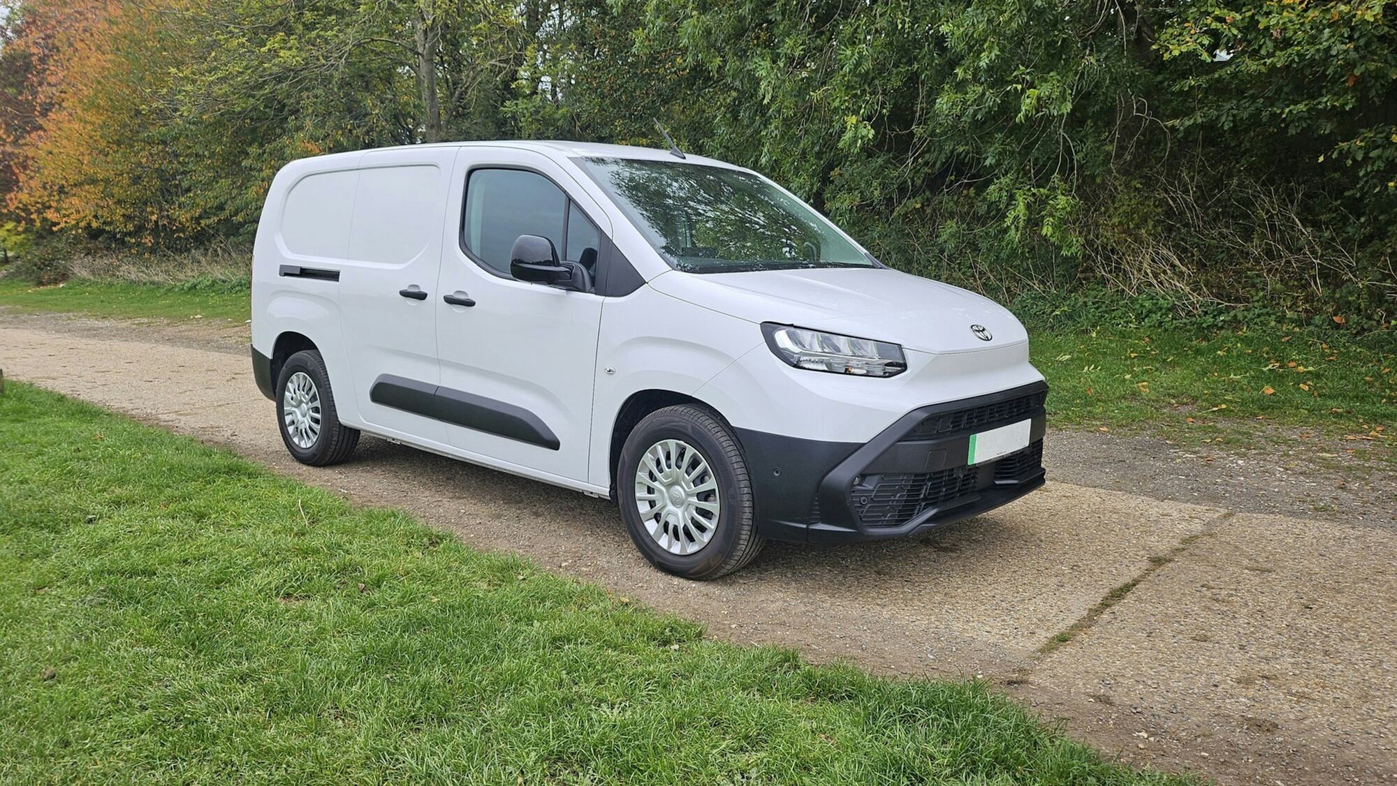 A white van parked on a path beside a grass verge and trees.